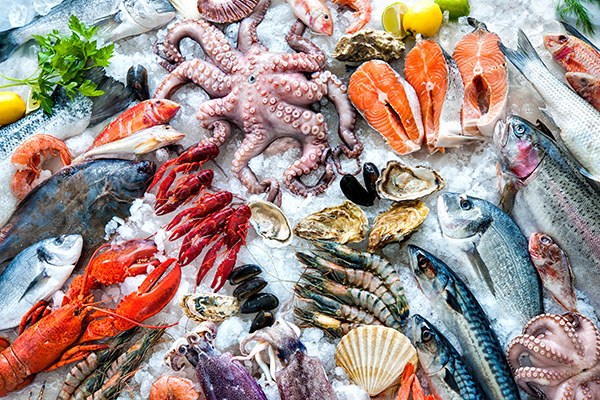 Makanan Laut Diproses – Kemudahan dan Keselamatan