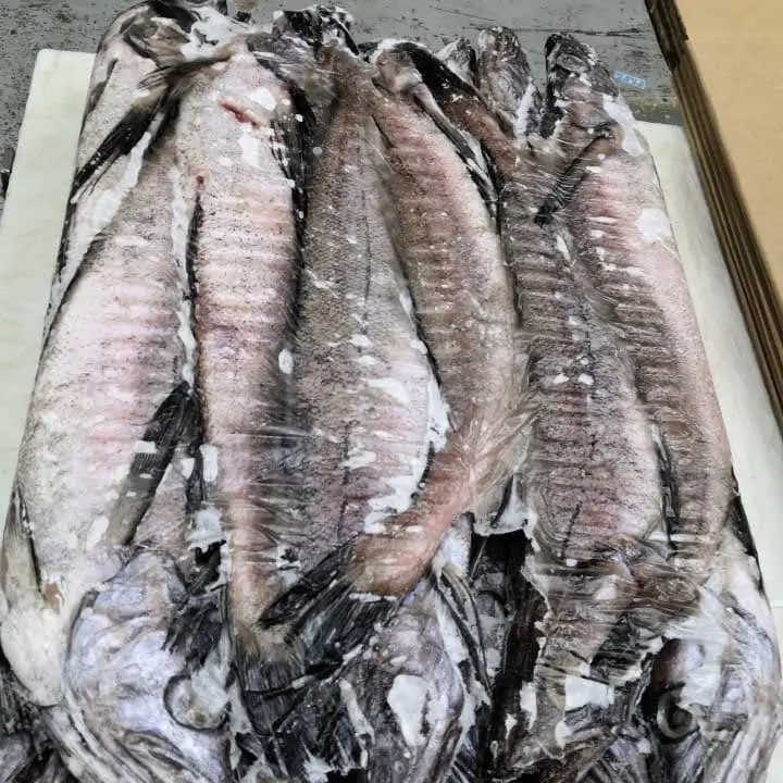 Seluruh Pusingan Hake Beku