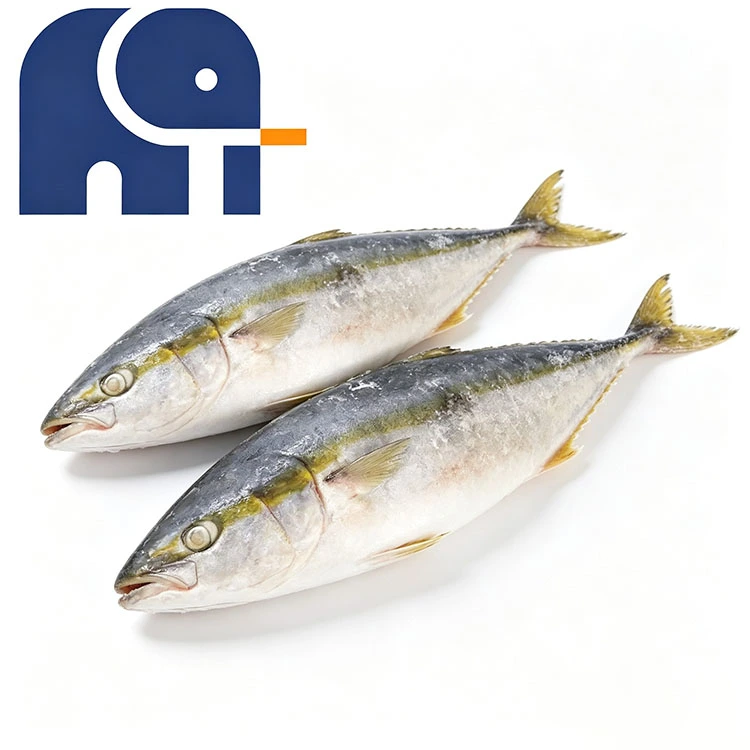 Bulat Seluruh Yellowtail Beku