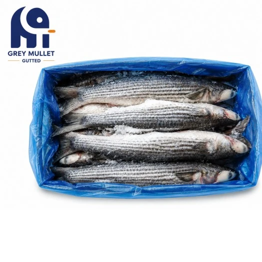 Pemprosesan halus Beku Kelabu Mullet Gutted